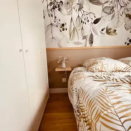 Cosy - Saint Louis 10